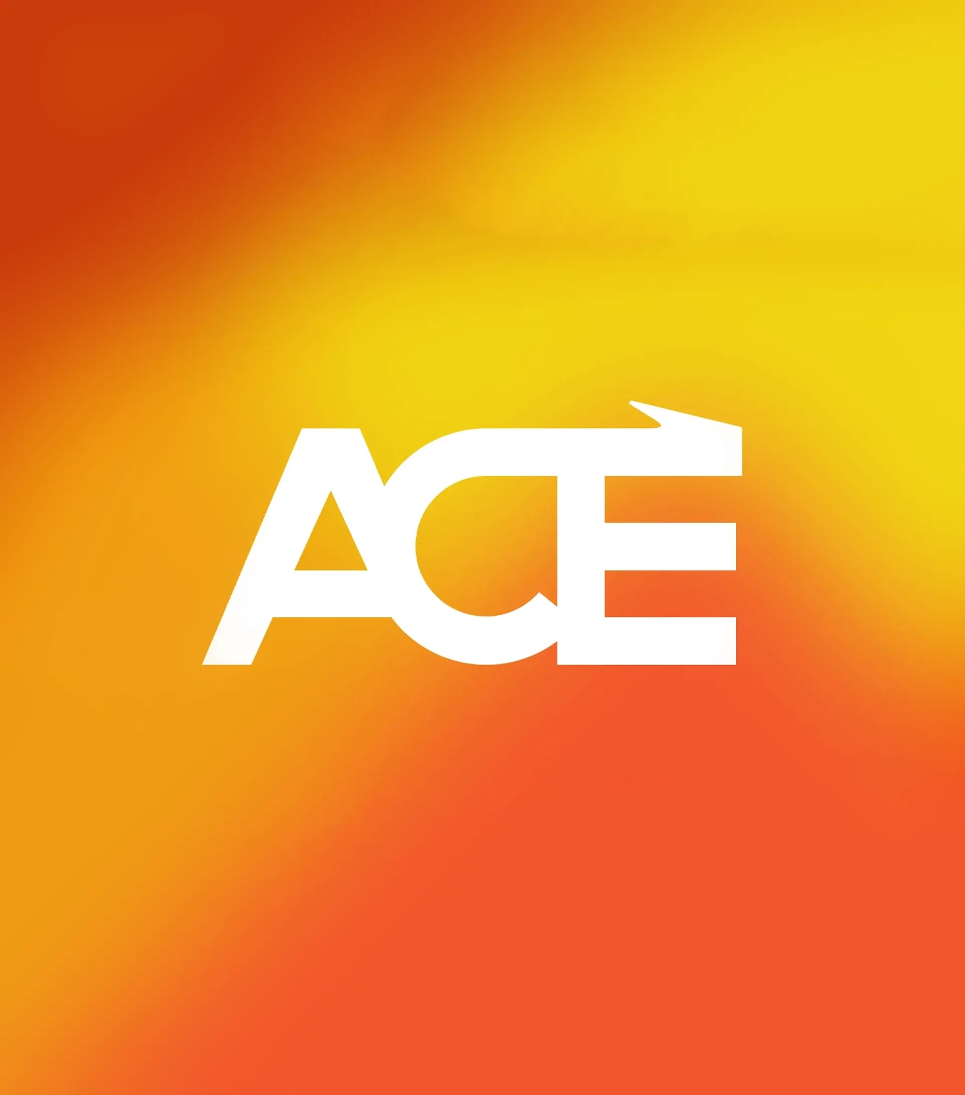 ACE Non-profit preview